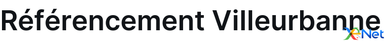 Référencement Villeurbanne